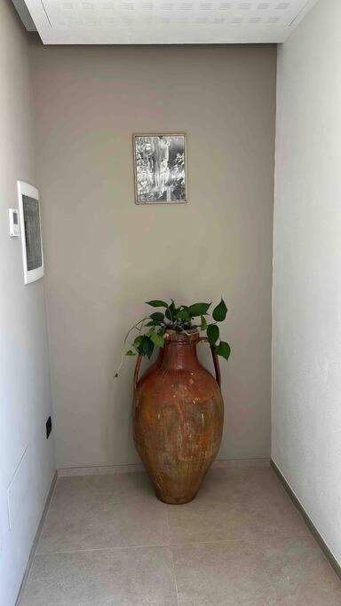 Matarrese 1950 Bed & Breakfast Castellana Grotte Luaran gambar