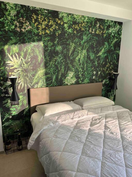 Matarrese 1950 Bed & Breakfast Castellana Grotte Luaran gambar